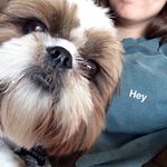 Chestnut Scott - @chestnut.scott - Instagram