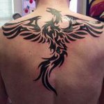 Scott Chestnut - @scottc2366 - Instagram