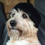 Scott Chisholm - @scottchisholm66 - Instagram