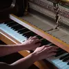 Scott+chords - @scott_plays2 - TikTok