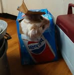 Scott Cichon - Facebook
