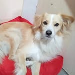 @scottcinnamonrolls - Instagram