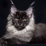 Scott Clancy - @saclancy4 - Instagram