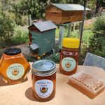 Scott Clarkson - @workingbeehoney - Instagram