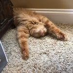 Scott Clarkson - @scott.clarkson.58 - Instagram