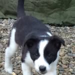 Scott Coates - @scott.coates - Instagram
