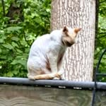 Scott Coates - @scottcoates4110 - Instagram