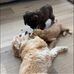 Scott Coates - Facebook