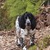 Scott Coates - Facebook