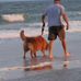 Scott Coll - Facebook