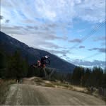 Scott Collingridge - @scott_collingridge - Instagram
