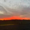 Scott😎 - @scott.coll121 - TikTok
