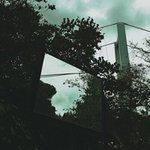 Scott Collar - @scottcollar - Instagram