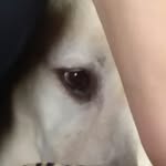 scottcomooo26 - @scottcomooo - Instagram