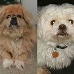 Scott Comstock - @comstock730 - Instagram