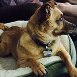Scott Comstock - @sjcom8 - Instagram