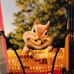Scott Conti - @sconti6565 - Instagram