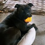 Scott Cooley - @scott.cooley.39108 - Instagram