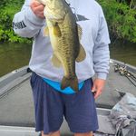 Scott Coons - @scottcoonsbassin - Instagram