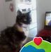 Scott Cooper - Facebook
