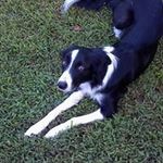 Scott Corbitt - @jscorbitt - Instagram