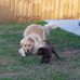 Scott Corn - Facebook
