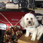 Scott Cornelison - @cornelison.scott - Instagram
