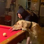 Scott Correa - @verscottchtape - Instagram