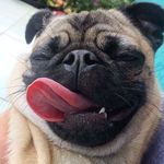 Scott Correa - @scottcorrea_ - Instagram