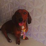 Scott - @scottcorreabarb - Instagram