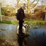 Scott Costello - @costello10 - Instagram