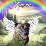 Scott Costello - @costello_scott - Instagram