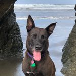 Scott Cotter - @cotter.scott - Instagram