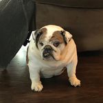 Scott Cottrill - @cottrill.scott - Instagram