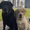 Scott Cottrill - @scott.cottrill0 - TikTok