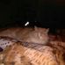 Scott Coutts - Facebook