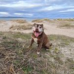 Scott Coutts - @coutts232 - Instagram
