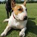 Scott Craddock - Facebook