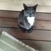 Scot Craighead - Facebook