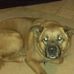 Scott Craighead - Facebook