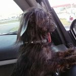 Scott Cranford - @cranford.scott - Instagram