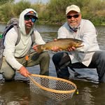 Scott Creek Cane - @scottcreekcane - Instagram