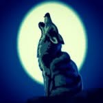 Scott Creek Kids Only! ;) - @scottcreekmiddle - Instagram