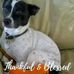 Scott Crenshaw - Facebook