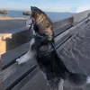 Scott.Cazarez - @scott.cazarez - TikTok
