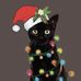 Cubbie Scott - Facebook