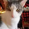 scottsculley125 - @scottsculley125 - TikTok