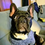Scott Culpepper - @culpepper.scott - Instagram