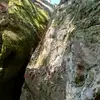 Scott Lee Cupp - @scott.lee.cupp - TikTok