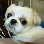 Scott Curtiss Tucker - @scottcurtisstucker - Instagram